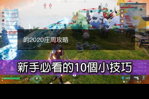 的2020庄周攻略